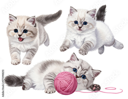 Playful Kittens Collection Isolated on Transparent Background