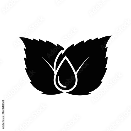 Mint leaf and water drop silhouette isolated on white background