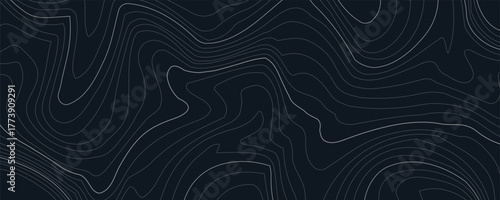 Topographic map pattern background vector. Abstract mountain terrain map background with abstract shape line texture. Design illustration for wall art, fabric, packaging, web, banner, wallpaper.