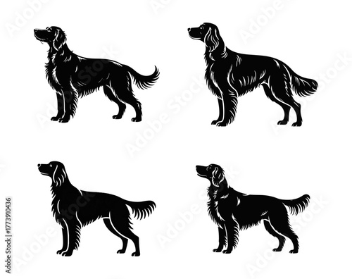 Set of four black setter dog silhouettes in a classic standing pose. Vector graphic illustration of a purebred gundog breed for logo design or hunting club emblem