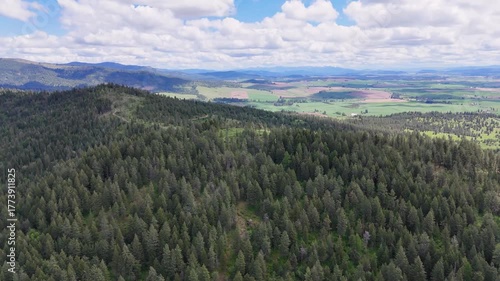 aerial view of the forest and farm land