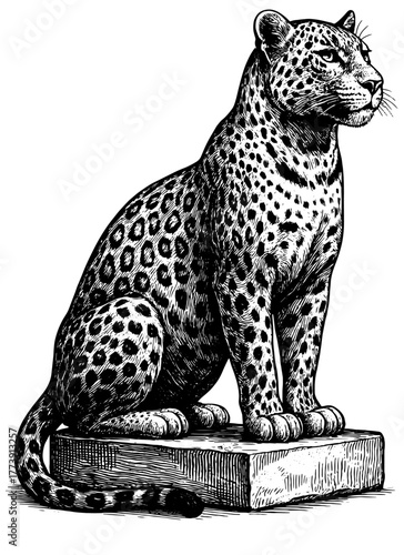 Black and white engraving of a leopard statue sitting on a pedestal, detailed etching lines, vintage wildlife art, isolated on transparent background.