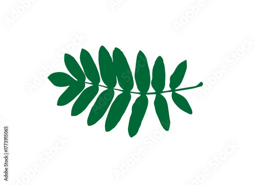rowan leaf green on white
