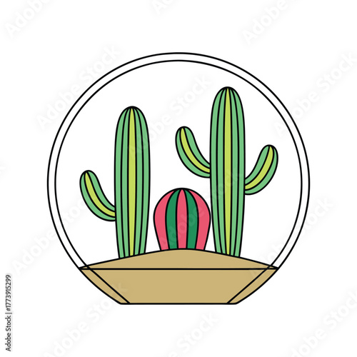 Cute terrarium with cacti plants a desert style garden illustration