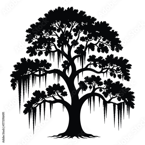 Live oak tree with long draping spanish moss black silhouette style suitable for nature illustration, heritage landscape graphics and rustic decorative compositions