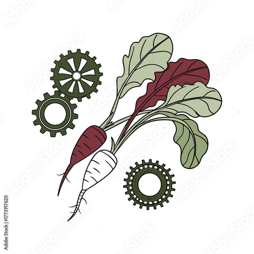 Steampunk Vegetables Carrots and Beets with Gears on White Background