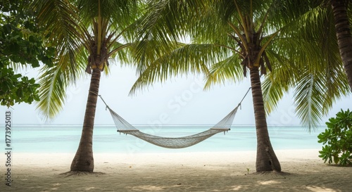 Tranquil Beach Hammock Between Palm Trees on Tropical Island Shore