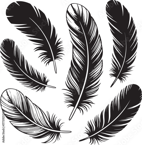 Elegant feather vector pattern design with light, fluffy plumes for a seamless background