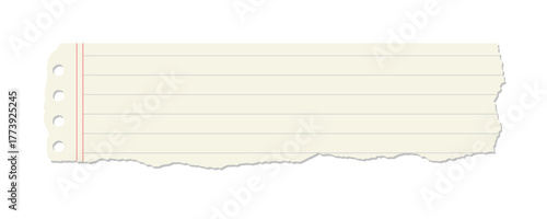 Torn strip of light yellow paper with red line and hole punch marks vector illustration
