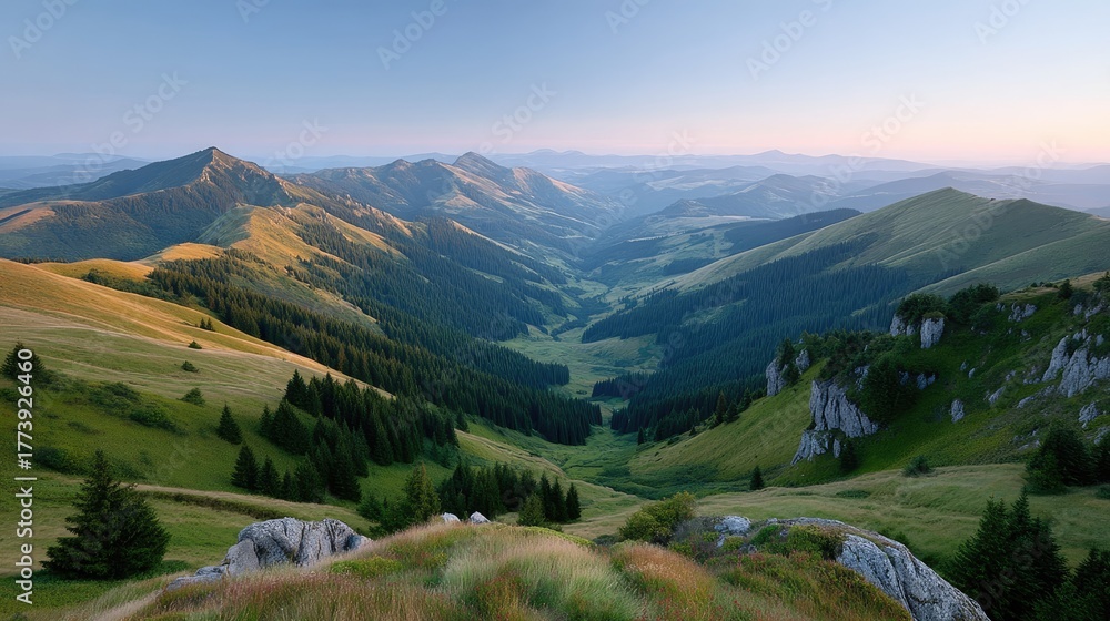Obraz premium Golden Hour Sunlight Illuminates Lush Green Forested Mountain Valley and Rocky Outcrops with a Clear Blue Sky Above at Sunrise