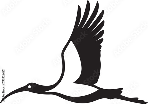Black flying ibis bird silhouette with wings spread, Ibis bird in flight black vector illustration