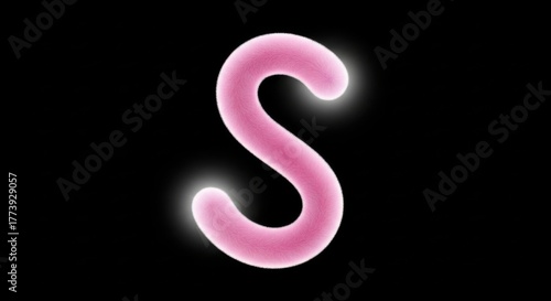 Wallpaper Mural A vivid pink letter S glows softly against a black backdrop, radiating light and color in an artistic display. This captivating design invites creativity and imagination. Torontodigital.ca