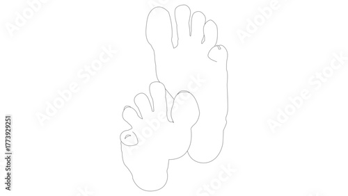 Illustration of female bare feet sole