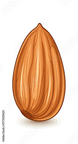 Isolated almond on, a nutritious and delicious nut for snacking