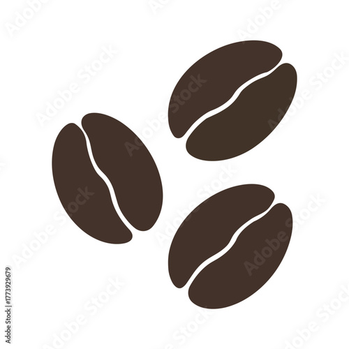 Three dark brown coffee beans on white background vector
