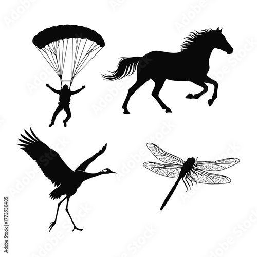 Silhouette Collection Of Parachutist Horse Crane And Dragonfly skydiver parachute