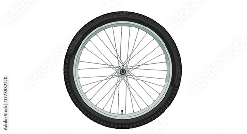 Bicycle Wheel: Detailed View of Spokes and Tire.