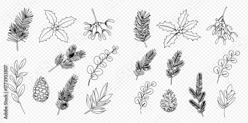 Hand-drawn collection of various winter and evergreen plant elements, including pine branches, holly leaves, mistletoe, and a pinecone in line art style.