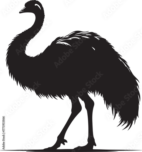 Silhouette emu animal transparent