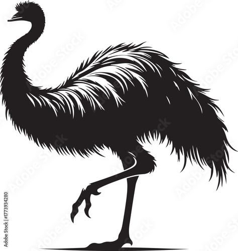 Silhouette emu animal transparent