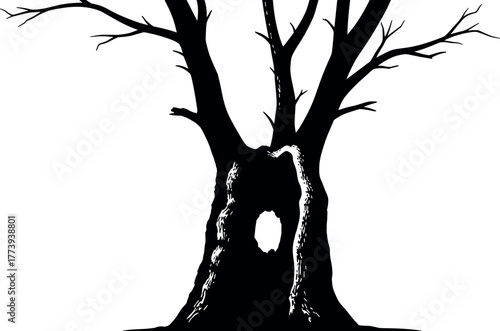 Silhouette of an ancient, gnarled oak tree with a hollow opening, evoking a sense of mystery and nature's grandeur