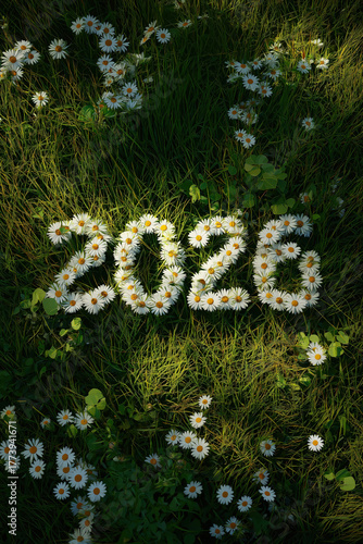 celebrate 2026 green meadow with white daisies in sunshine, lush, new years day eve, silvester, portrait format, photorealistic