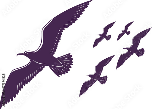 vector illustration of a flying bird