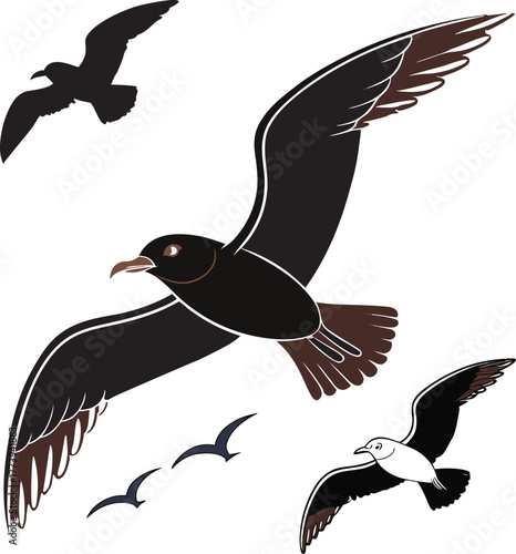 vector illustration of a bird