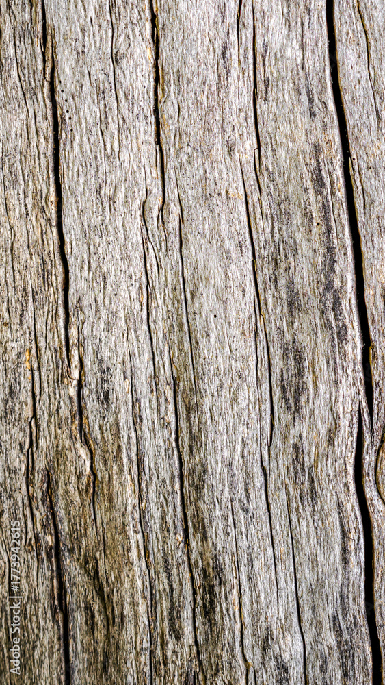Fototapeta premium old cracked wood with visible details