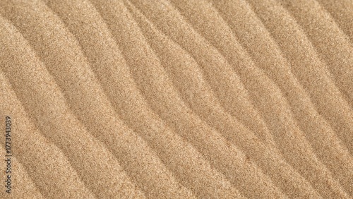 Sandy desert with rippled sand dunes, dry landscape, arid terrain, natural environment, vast expanse, and untouched terrain.