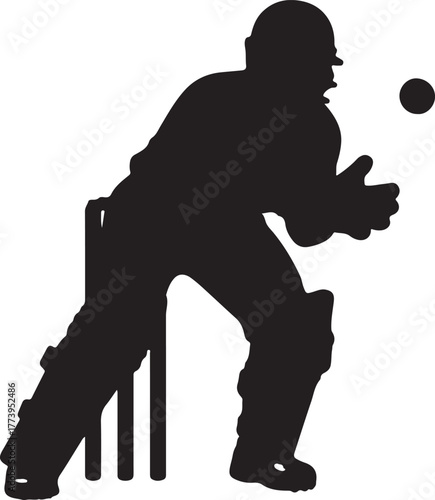 Silhouette of a Cricket Wicket Keeper in Action Ready to Catch