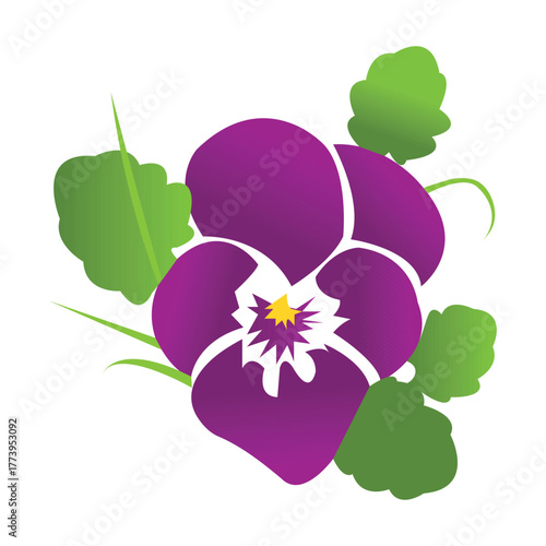 Pansy flower illustration