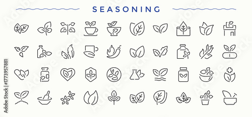 Seasoning simple icon set. Minimalist editable vector stroke. Includes thin line symbols basil, garden, ecology, basil and leaves, nature, natural. Editable vector. Leaves icon.