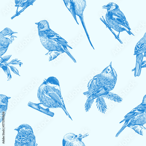 Blue forest birds seamless pattern. Toile de Jouy different species from European forests. Goldcrest, Thrush fieldfare, Robin. engraving, hatching style done with ink pen. 