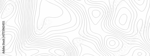 Abstract topographic White wave paper curved reliefs. Seamless swirl wave contour maps. Vector illustration. topography line map.