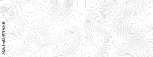 Abstract topographic White wave paper curved reliefs. Seamless swirl wave contour maps. Vector illustration. topography line map.