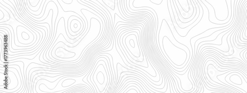 Abstract topographic White wave paper curved reliefs. Seamless swirl wave contour maps. Vector illustration. topography line map.