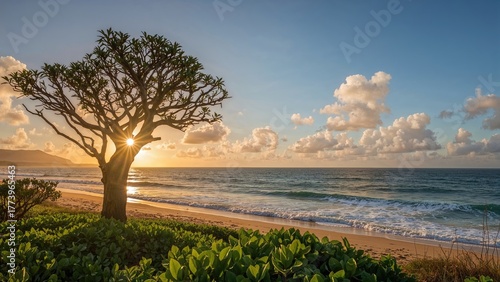 Fototapeta Naklejka Na Ścianę i Meble -  A beach scene with a tree and sun setting behind it, ocean waves, sky with clouds, and lush greenery in the foreground.