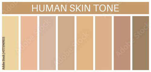 Skin tones Color Palette Set. Light pale, pale, brown, tanned, dark brown and black skin tone shades - Vector.