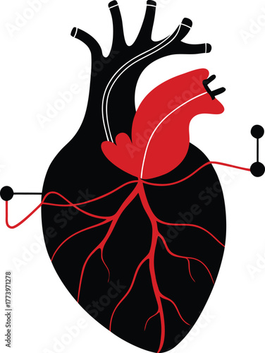 Anatomy of a heart silhouette