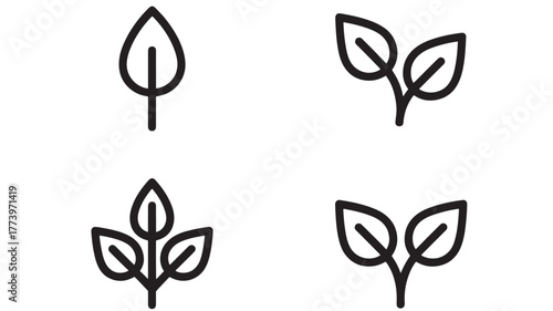Four different leaf icons isolated on white background representing nature and growth