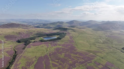 High altitude drone descent over Bonaly Reservoir with Pentland Hills purple heather in summer
