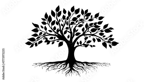 Silhouette tree graphic design white background. Black tree silhouette showing roots and branches spreading. Elegant silhouette of a tree with leaves and roots on a white background. 
