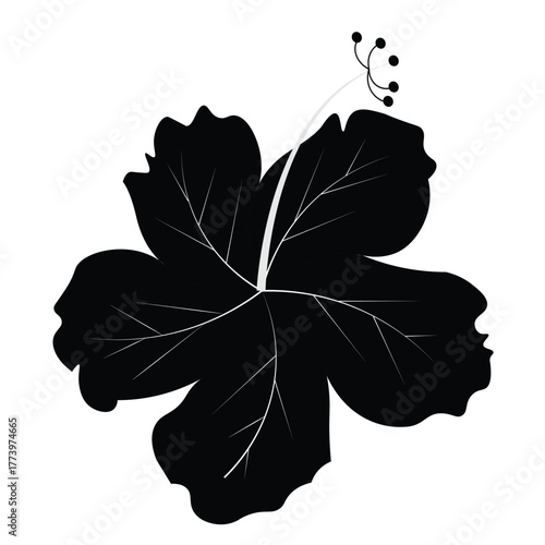 Hibicus rosa sinensis flower design
