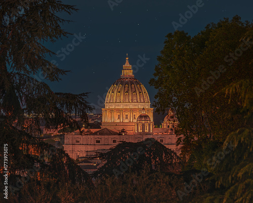 St. Peter's Basilica Dome at Night Framed by Trees from Janiculum Hill