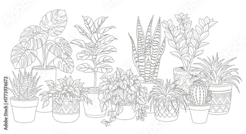 Detailed outline illustration of diverse potted houseplants suitable for coloring books, educational botanical resources, or decorative design elements in vector format.