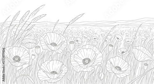 Delicate Line Art Illustration of a Poppy Field Landscape for Coloring Books and Therapeutic Art Projects, Suitable for Digital and Print Media