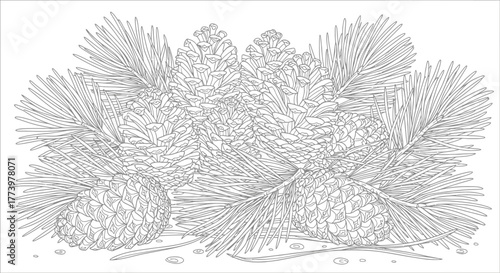 Detailed pine cone and needle line art illustration for coloring books and nature-themed designs to promote relaxation and creative expression.
