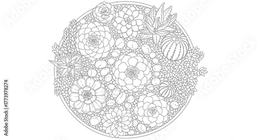 Detailed Line Art Illustration of a Succulent Garden in a Circular Pot, Perfect for Coloring Books and Botanical Studies. Ideal for promoting relaxation, creative expression, or educational materials.