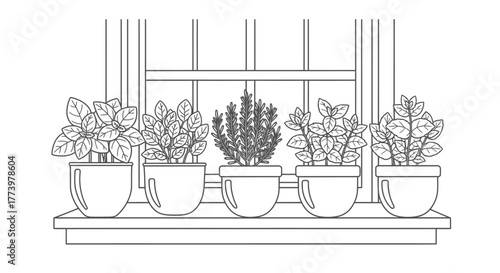 Window sill adorned with potted herbs in a minimalist line art style, perfect for coloring books, educational resources, or botanical illustrations.